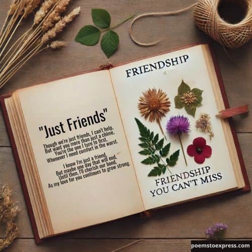 Cute poem for crush