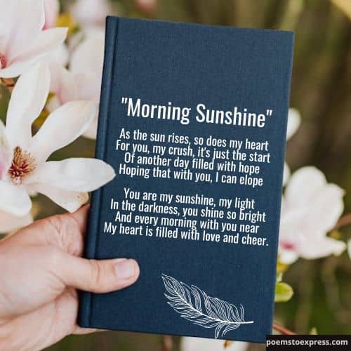 Good morning poem for crush
