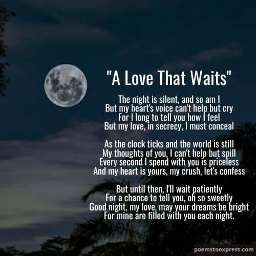 Good night poem for crush