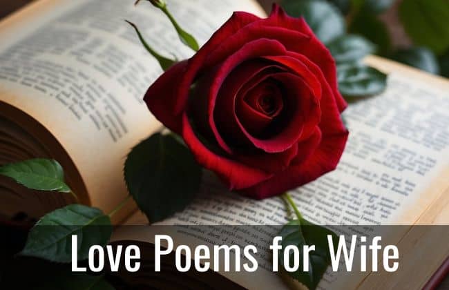 Love Poems for Wife
