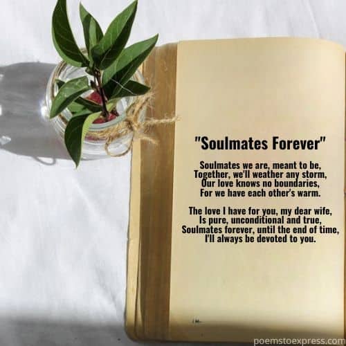 Love poems wife