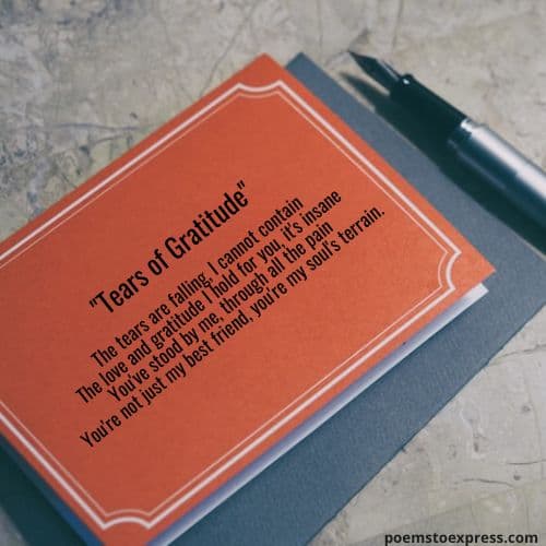Short best friend poems that make you cry