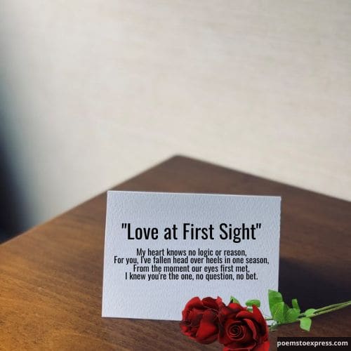 Short love poem for crush