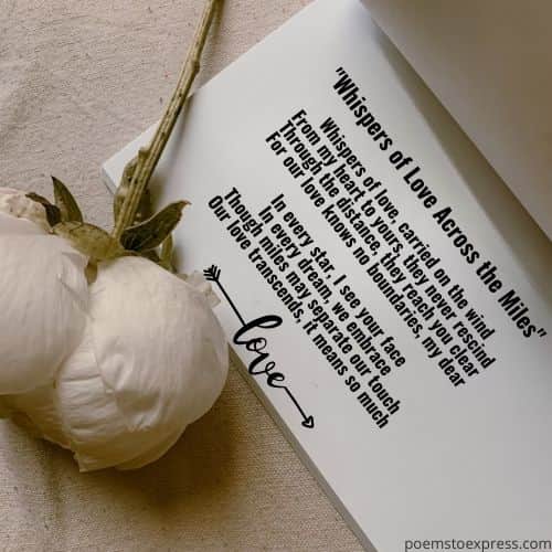 Soulmate long distance love poems