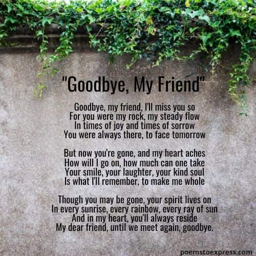 poems for best friend that make you cry