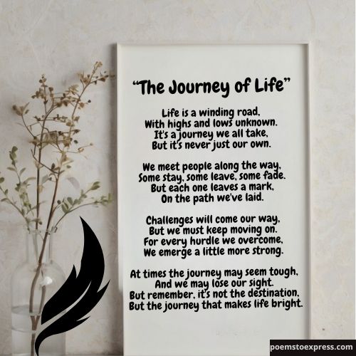 Meaning of Life Poems