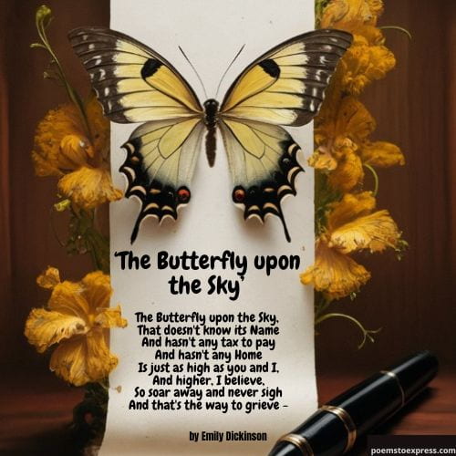 butterfly poem