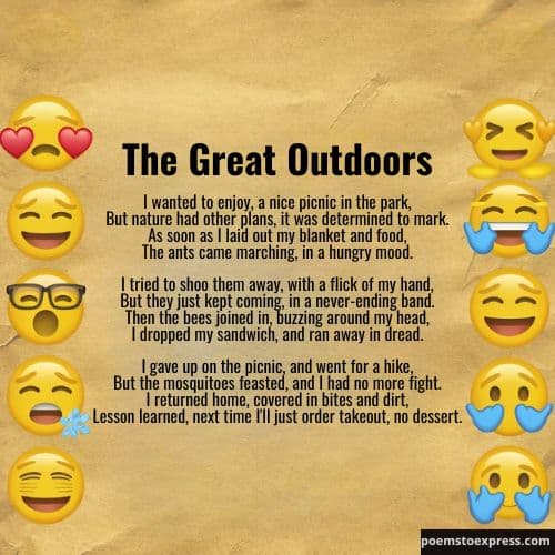 funny poems for adults