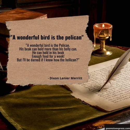 limerick poem examples
