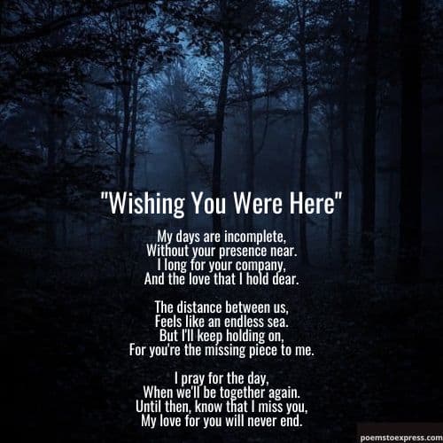 missing you poems for him