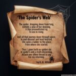 Spider Memory Verses 10 Spider Poems: Explore Fascinating Arachnid-Inspired Verses