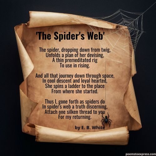 poem about a spider