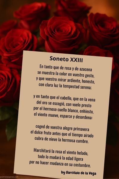 Soneto XXIII